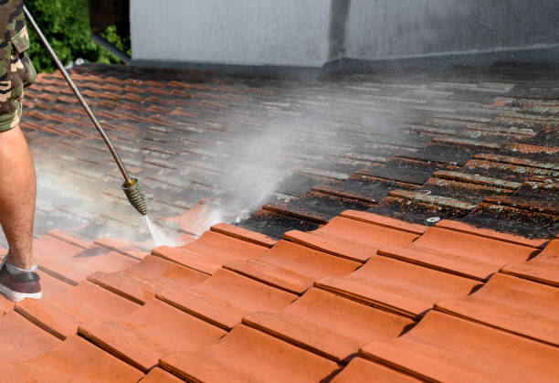 Best Affordable Pressure Washing  in Port Vue, PA
