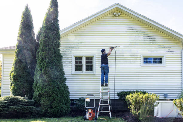Best Pressure Washing Siding  in Port Vue, PA