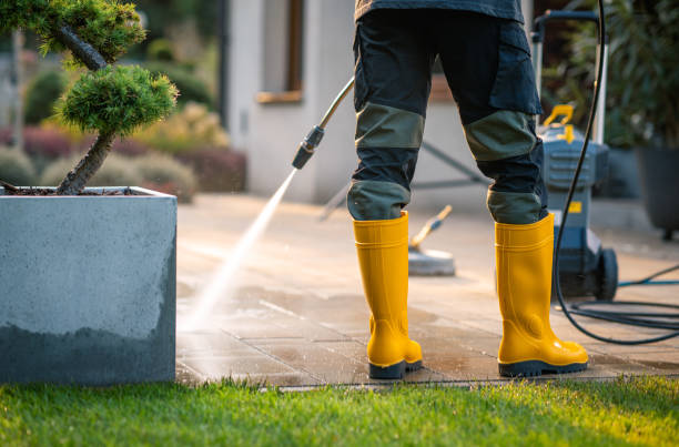 Best Pressure Washing Patio  in Port Vue, PA